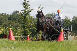 dressuur en vaardigheid  nienoord 10-8-2015  joshua keller-0556        